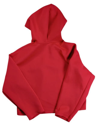 Uniqlo Women’s Gray Dry Fit Red Hooded Top Blouse Size L Casual Activewear